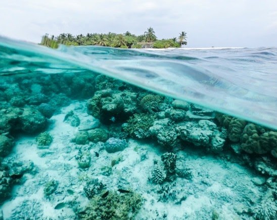 crazy facts about climate change