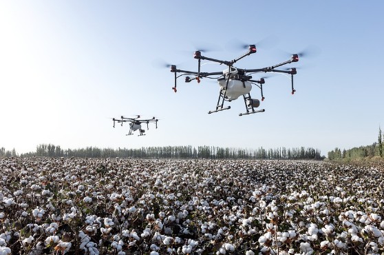 drones above a cotton field