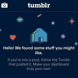 Find out how many followers someone has on Tumblr.